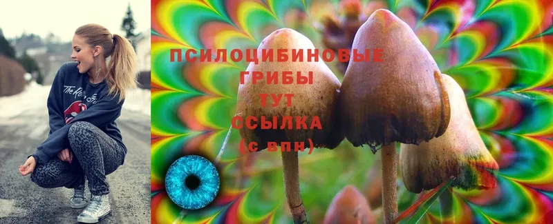 кракен сайт  Талдом  Псилоцибиновые грибы MAGIC MUSHROOMS 